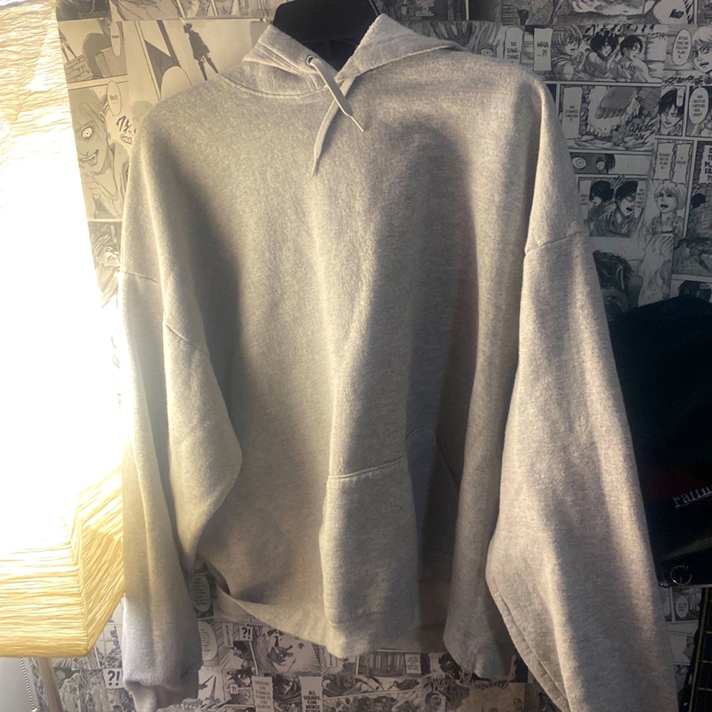 Hanes Hoodie X-Large Men/Women Gray